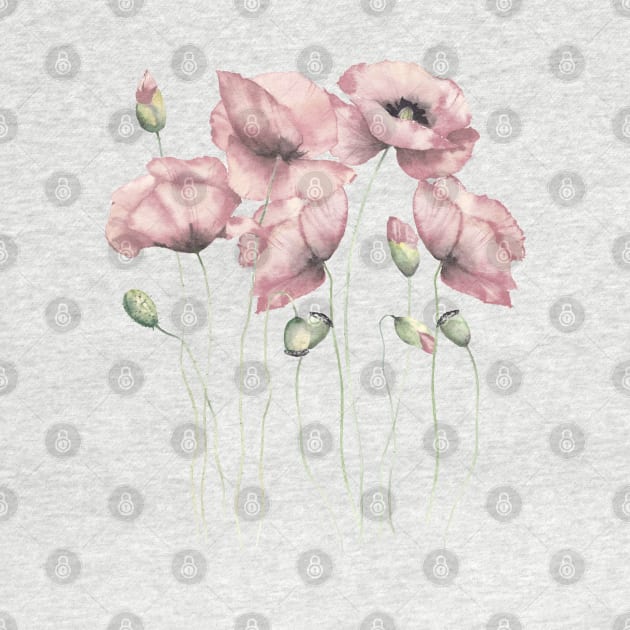 Blush pink poppies illustration by InnaPatiutko